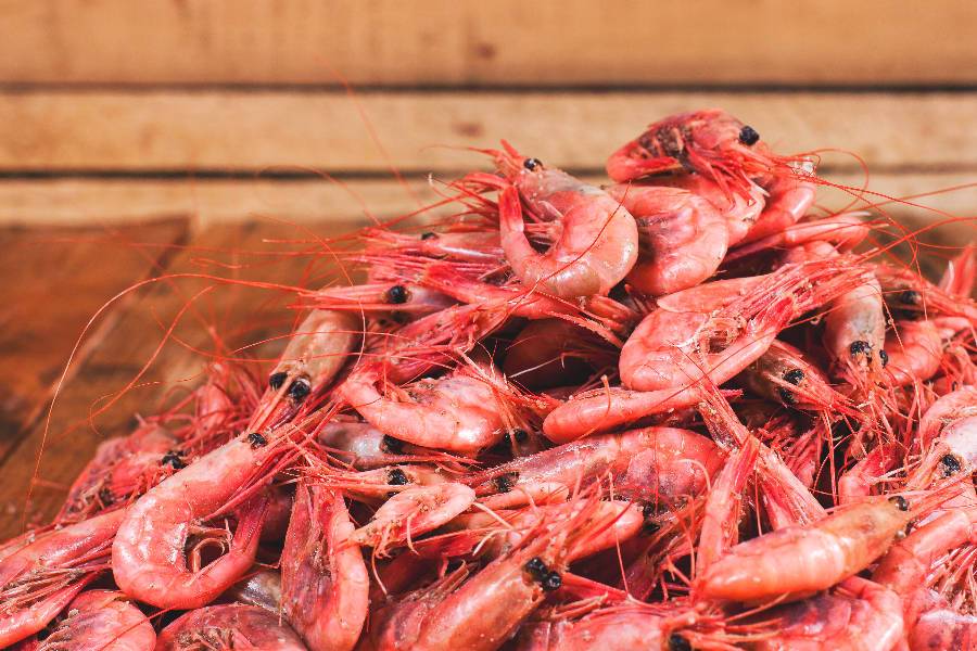 Crevettes nordiques entières fraîches - 1 LB